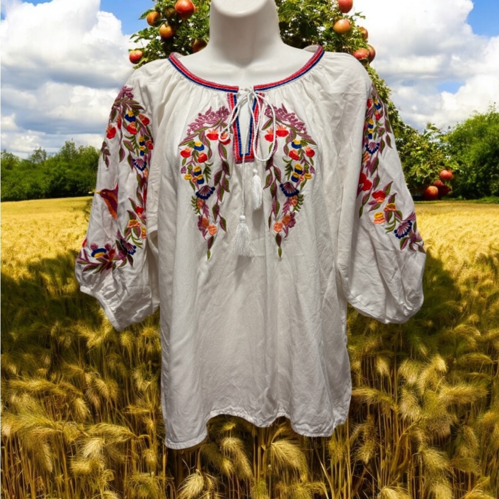 Anthropologie Luna Moon creme and Red Tie Front Blouse size large